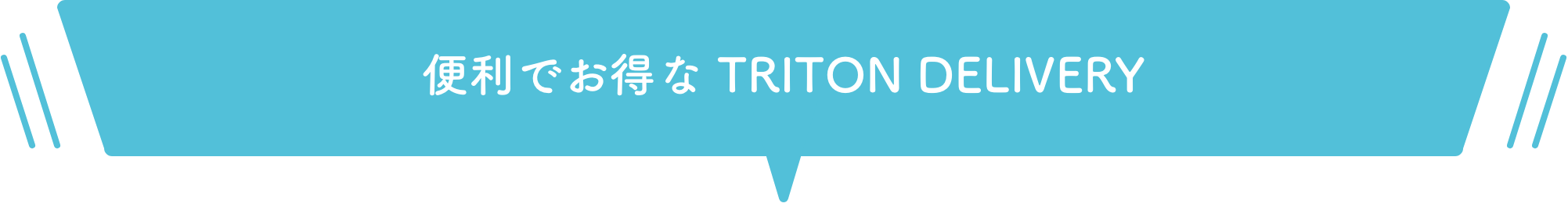 「TRITON DELIVERY」でお得！ PC用画像