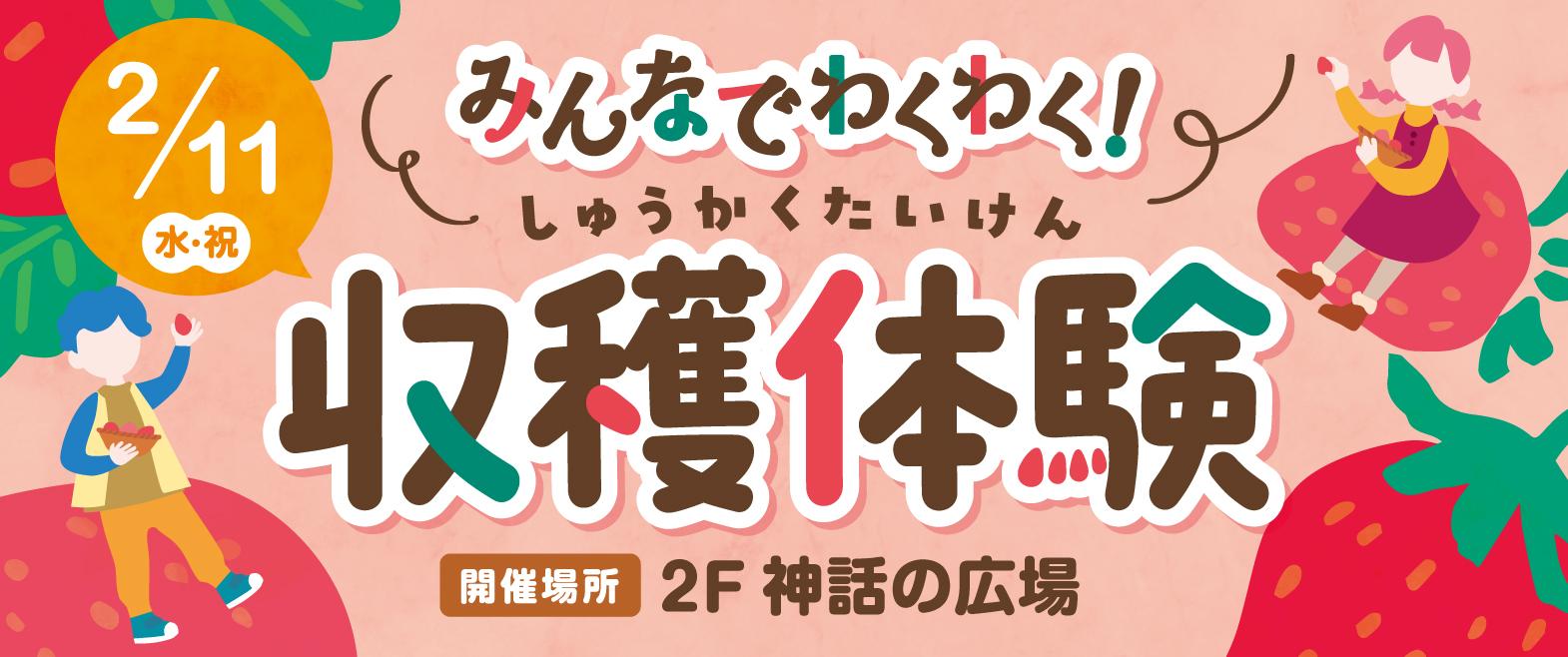 みんなでわくわく！収穫体験 image