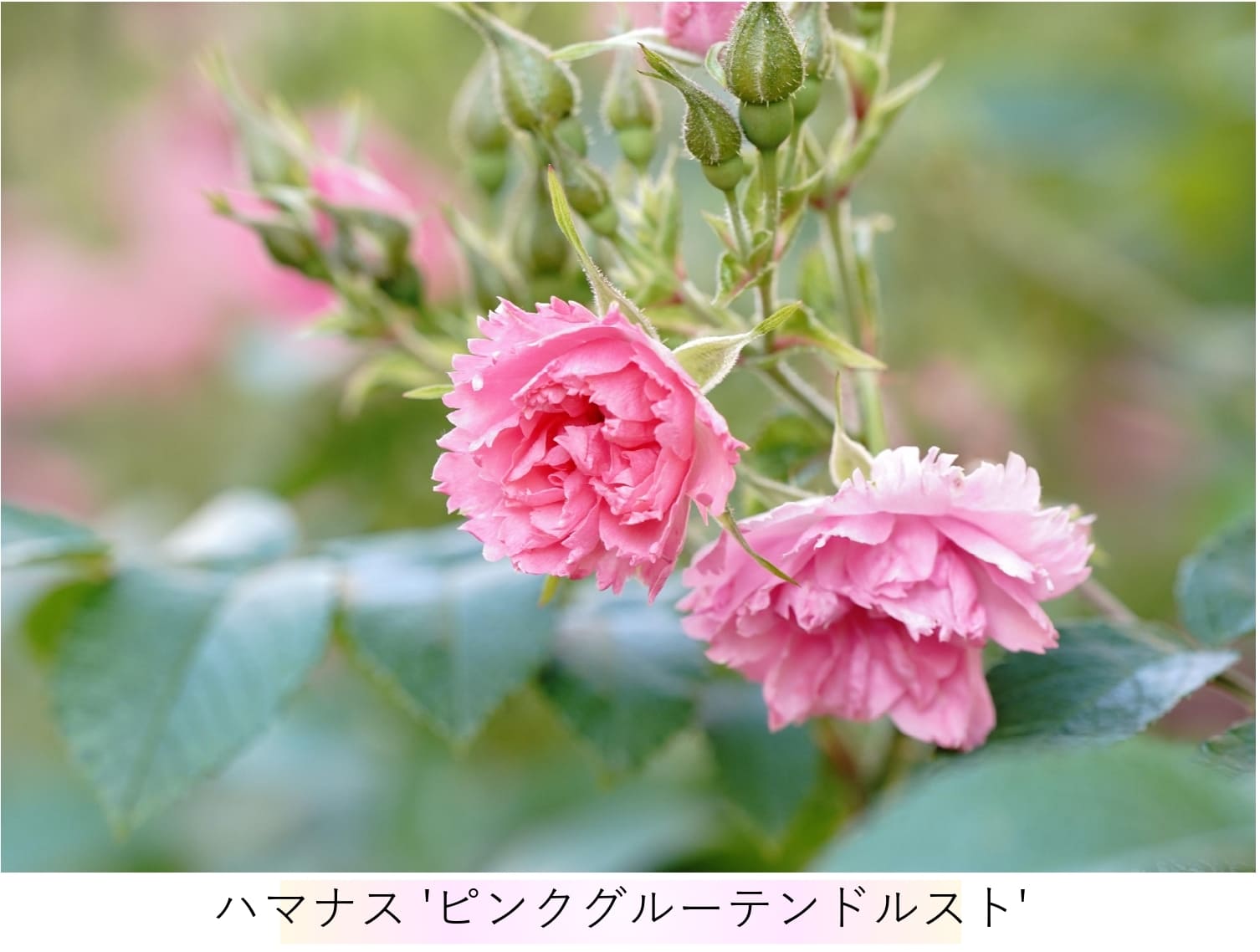 shop_img01