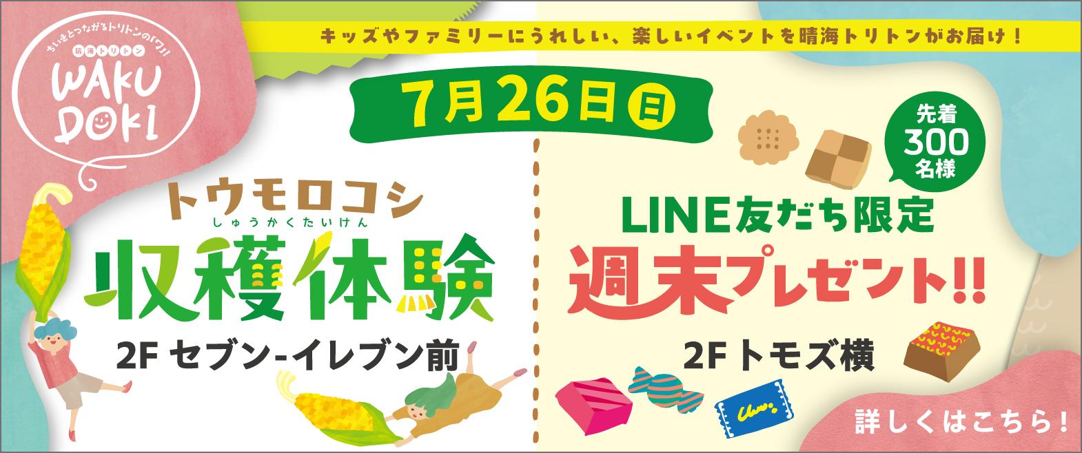 トウモロコシ収穫体験 image